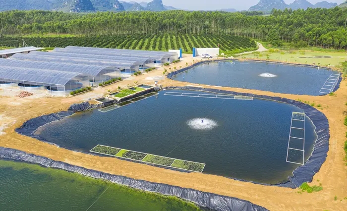 ��ֳ����