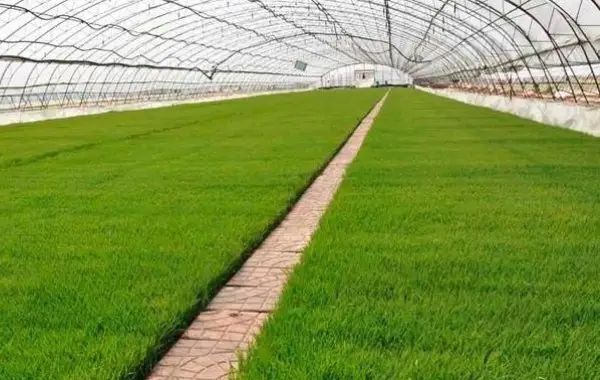 �������