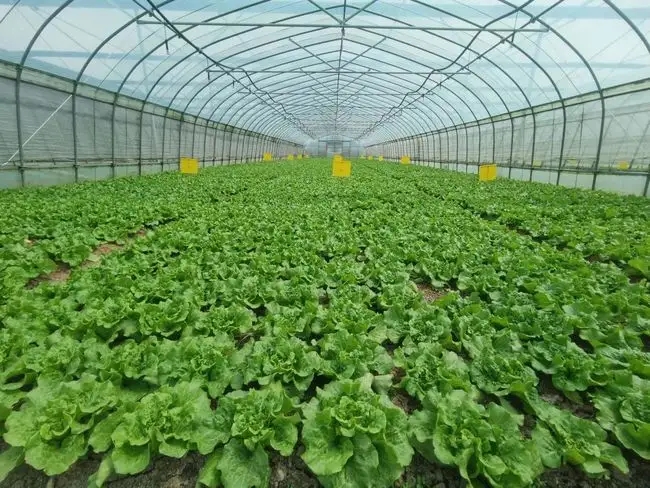 ���һƹϺ��ǲ��������