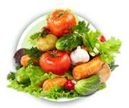 ������ѡ